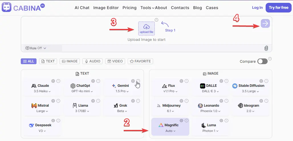 how to use Magnific at Cabina.A
